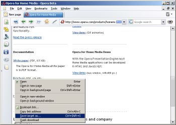 Save target as dialog